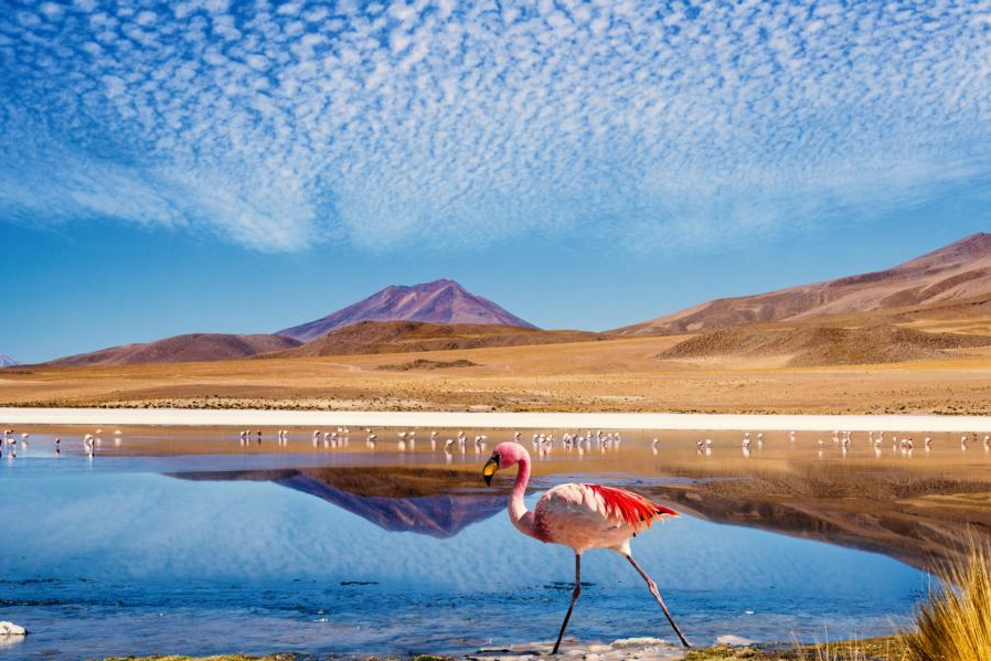 Unsere Reiseziele in Lateinamerika - América Special Tours