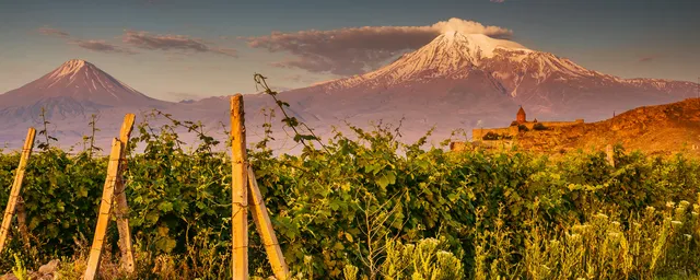 Weinanbau in Armenien vor der Kulisse des Berg Ararat