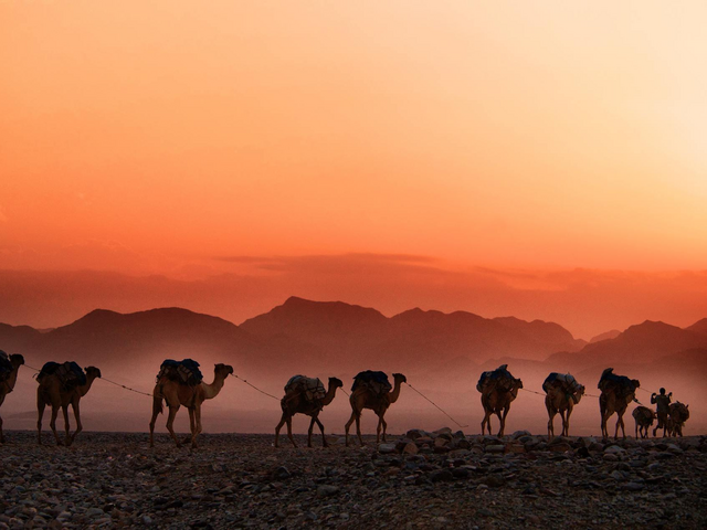 Karawane, Kamele, Sonnenuntergang, Usbekistan und Turkmenistan Rundreise