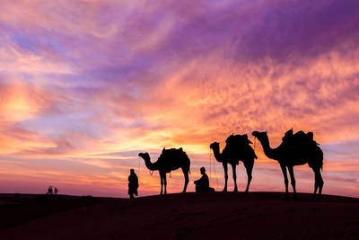 Kamele und Nomaden in der Wüste von Oman, Oman Reise