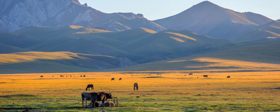 Steppe am Song Kul See, Kirgistan Rundreise