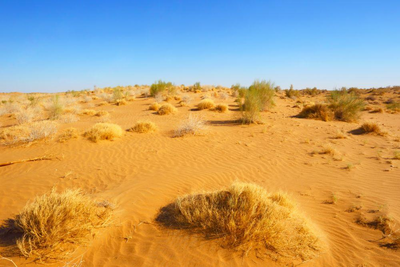 Kyzylkum-Wüste, Usbekistan, Seidenstraße Reise